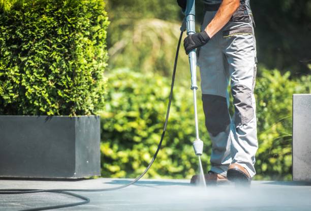 Best Graffiti Removal  in Lemoore, CA