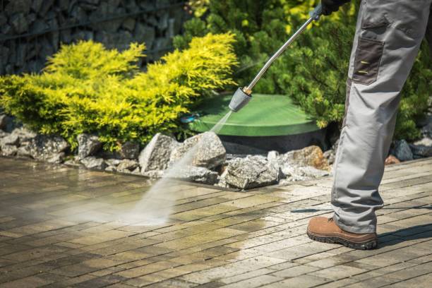 Best Soft Washing  in Lemoore, CA